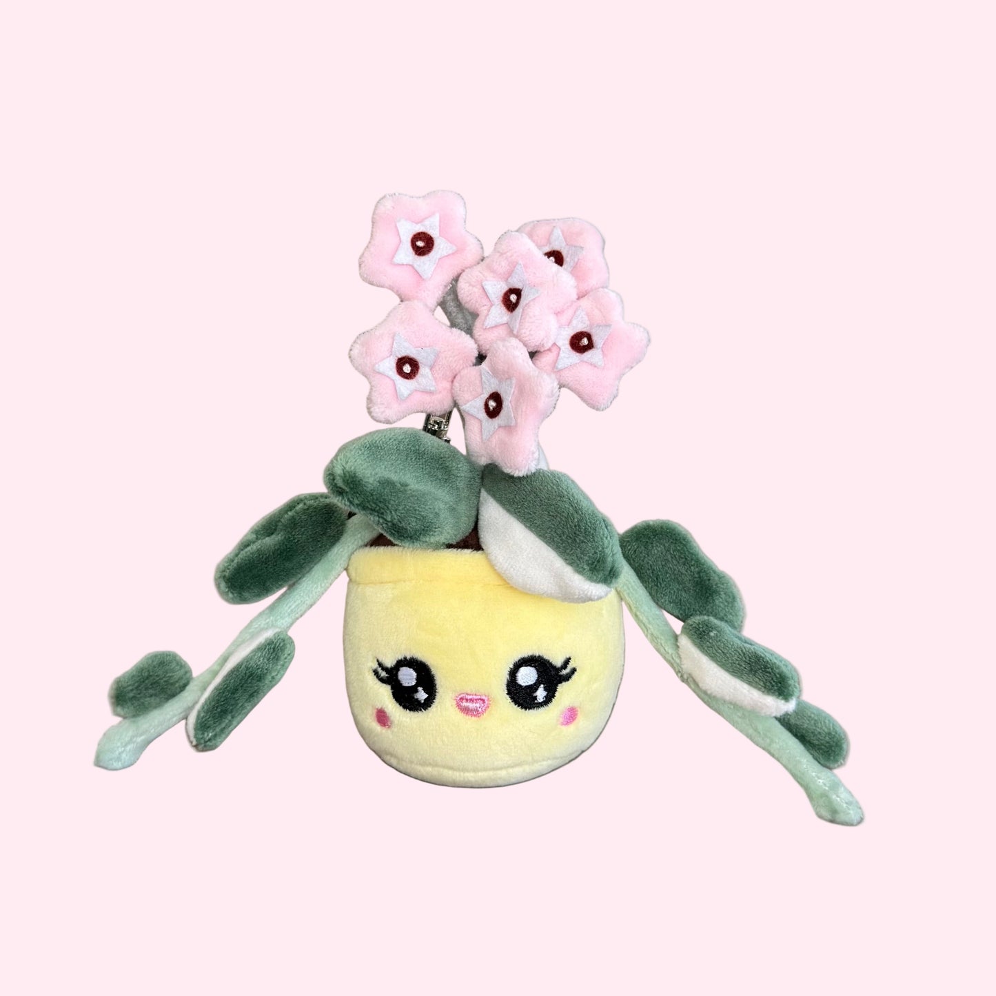 Hoya Carnosa ‘Krimson Queen’ Plush Keychain – 5″ Variegated Houseplant Bag Charm