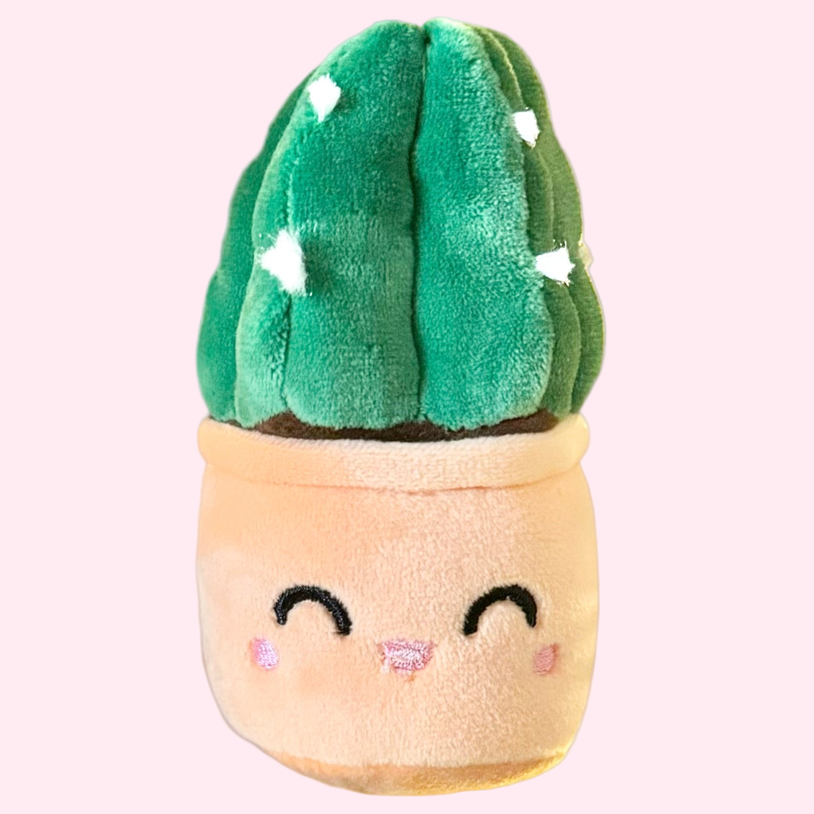 succulent plant squishmallow Cuddly Cactus Plush Keychain – 5′′ Plant Lover Bag Charm