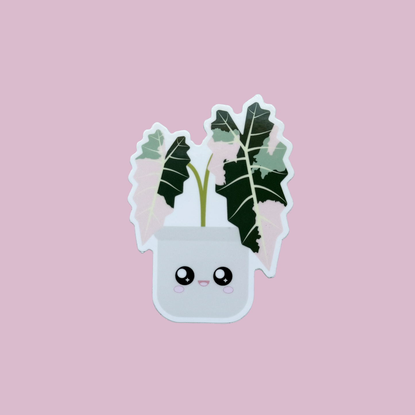 Variegated Alocasia Amazonica Plant Sticker