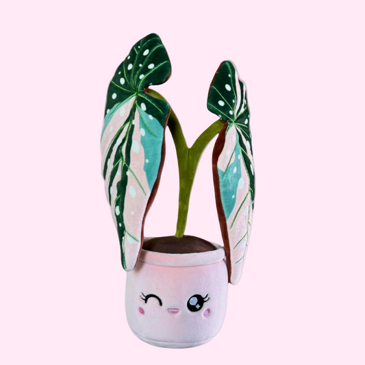 Pink Variegated Begonia Maculata Plushie