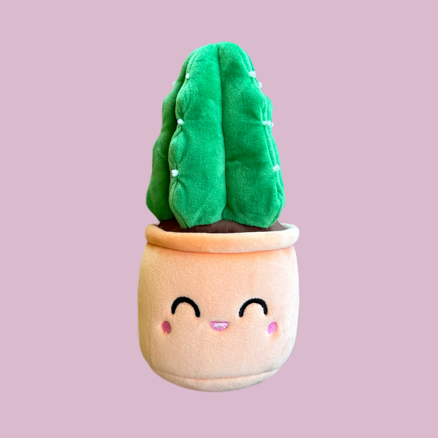 Cuddly Cactus Plushie