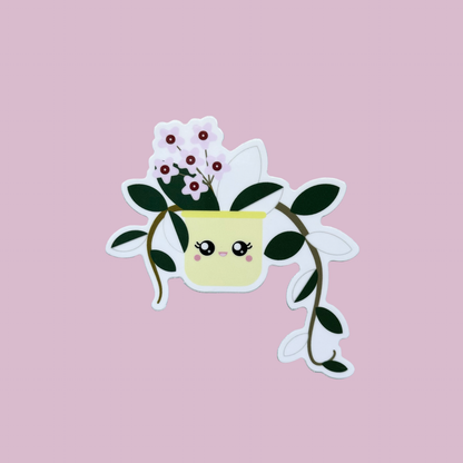 Variegated Hoya carnosa Krimson Queen Plant Sticker