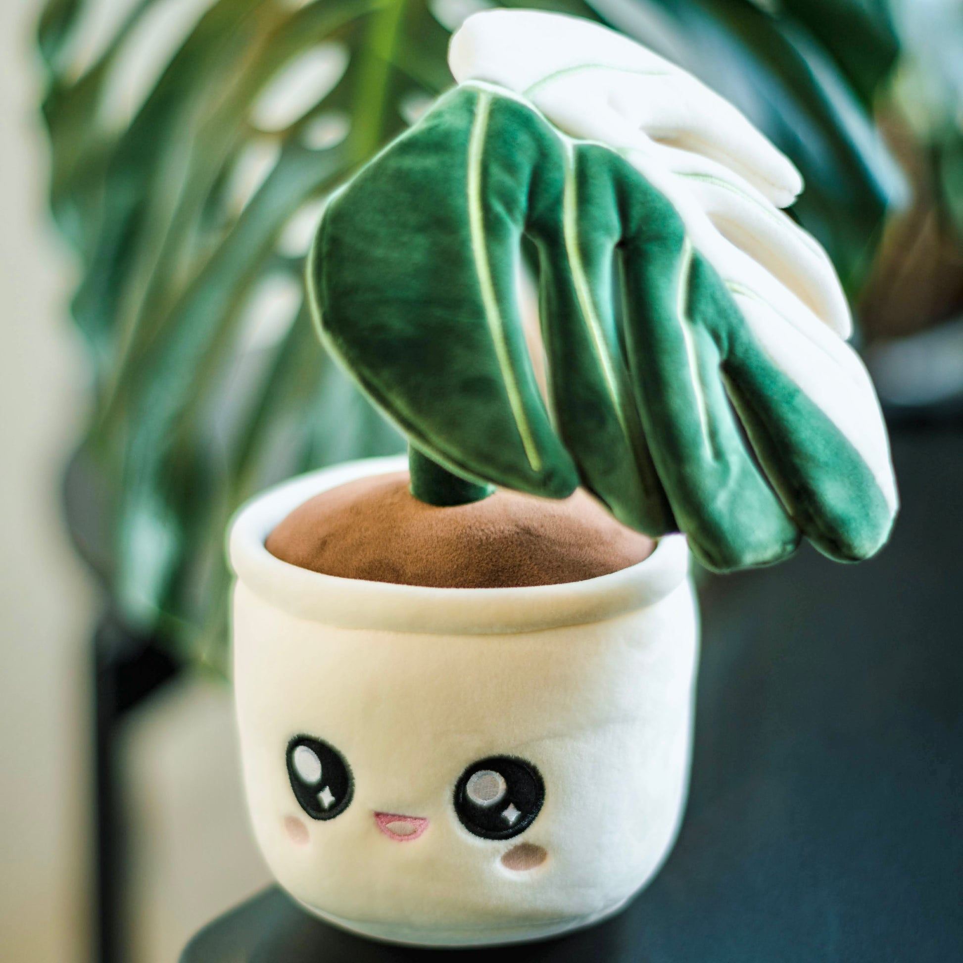 amuseable monstera plant Monstera Deliciosa Albo Variegata Plushie – Blushiez