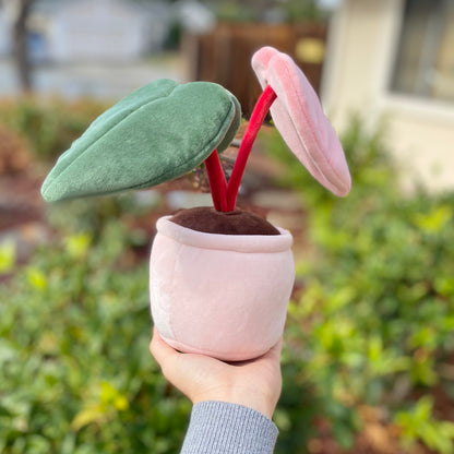 bushy pink princess philodendron Pink Princess Philodendron Plushie