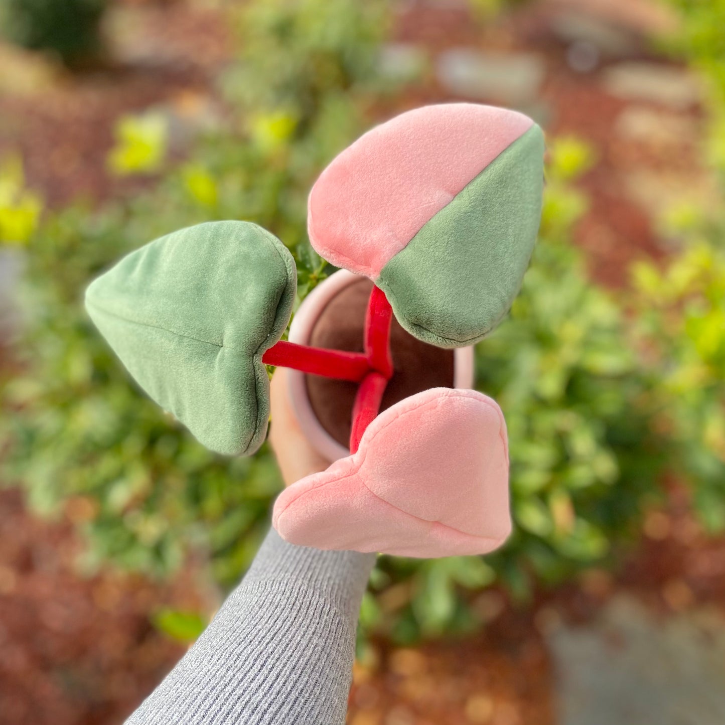 Top view of the plush toy of a potted plant with a pink pot, held by a woman's hand in front of a bush. The plant is a pink princess philodendron with three leaves. One leaf is green, another leaf is pink, and the third leaf has a split color pattern with the left side green and the right side pink. The dark red stems of the plant are visible.